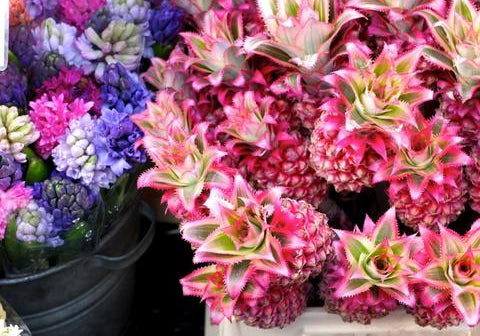 The Ultimate City Girls Guide - By Le Fashion Fetish